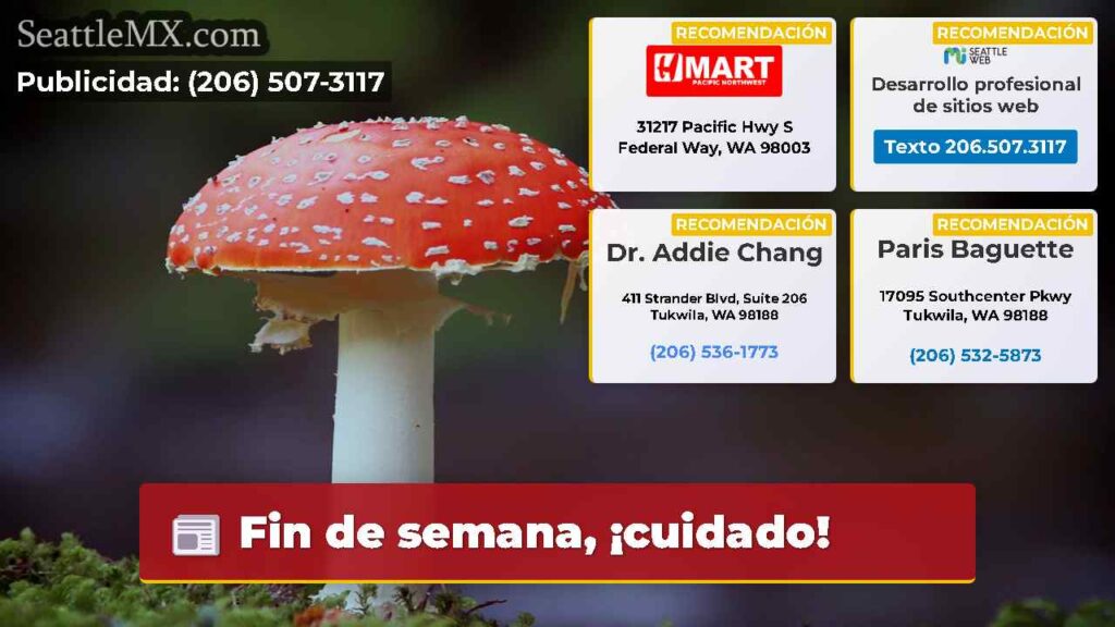 Fin de semana, ¡cuidado!
