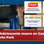Adolescente muere en Gas Works Park