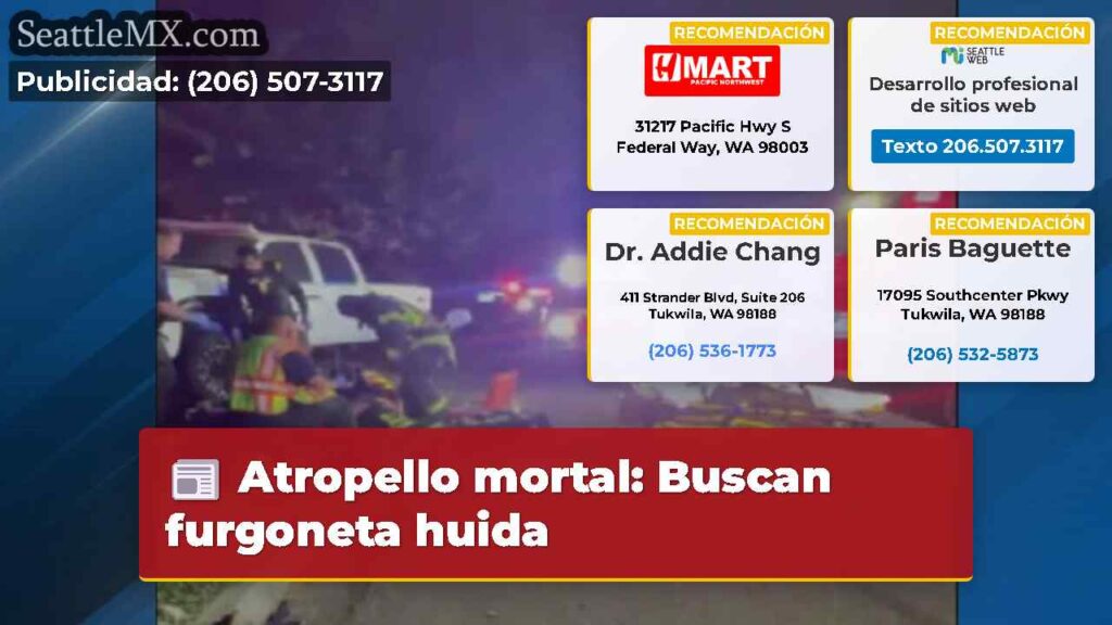 Atropello mortal: Buscan furgoneta huida