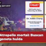 Atropello mortal Buscan furgoneta huida