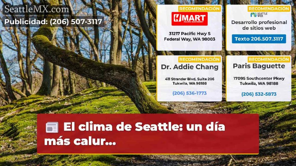 El clima de Seattle: un día más calur...