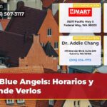 Blue Angels Horarios y Dónde Verlos