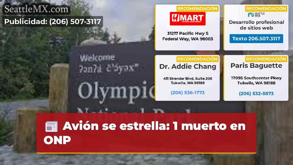 Avión se estrella: 1 muerto en ONP