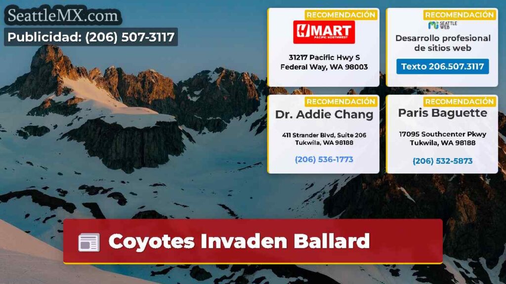 Coyotes Invaden Ballard
