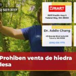 Prohiben venta de hiedra inglesa