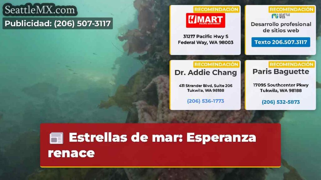 Estrellas de mar: Esperanza renace