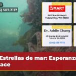 Estrellas de mar Esperanza renace