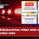 Adolescentes roban auto e intentan robo