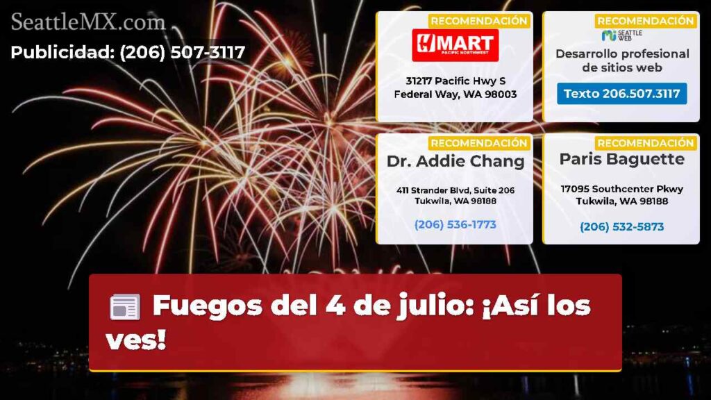 Fuegos del 4 de julio: ¡Así los ves!