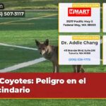 Coyotes Peligro en el Vecindario