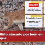 Niño atacado por león en parque