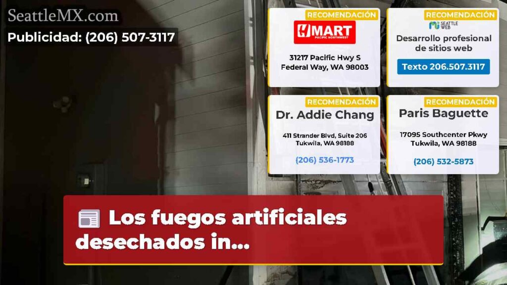 Los fuegos artificiales desechados in...
