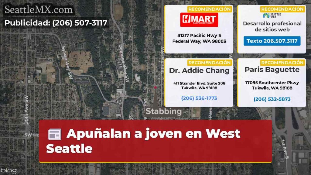 Apuñalan a joven en West Seattle