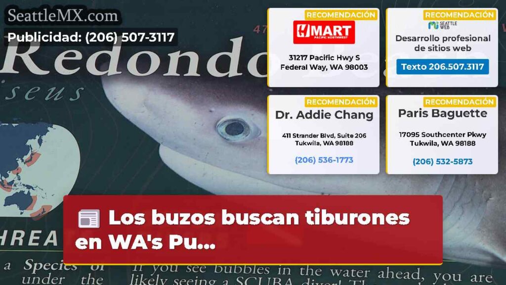 Los buzos buscan tiburones en WA's Pu...