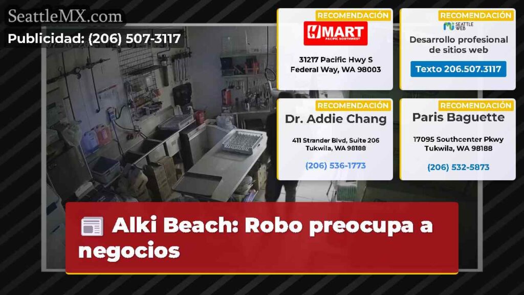 Alki Beach: Robo preocupa a negocios
