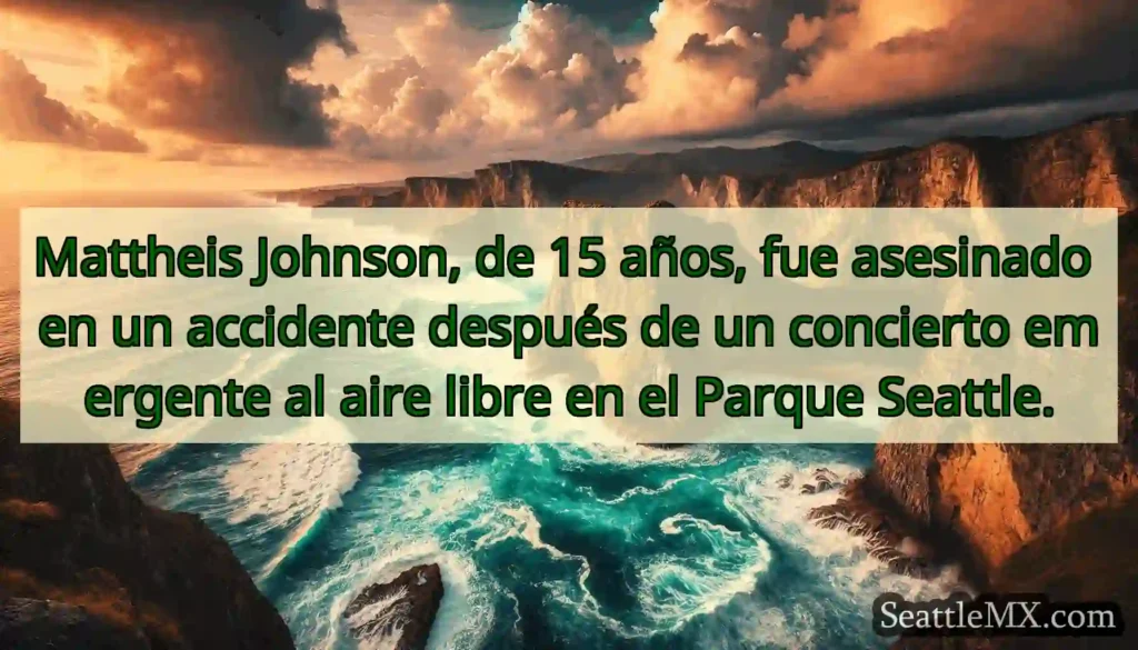 Mattheis Johnson, de 15 años, fue asesinado en un