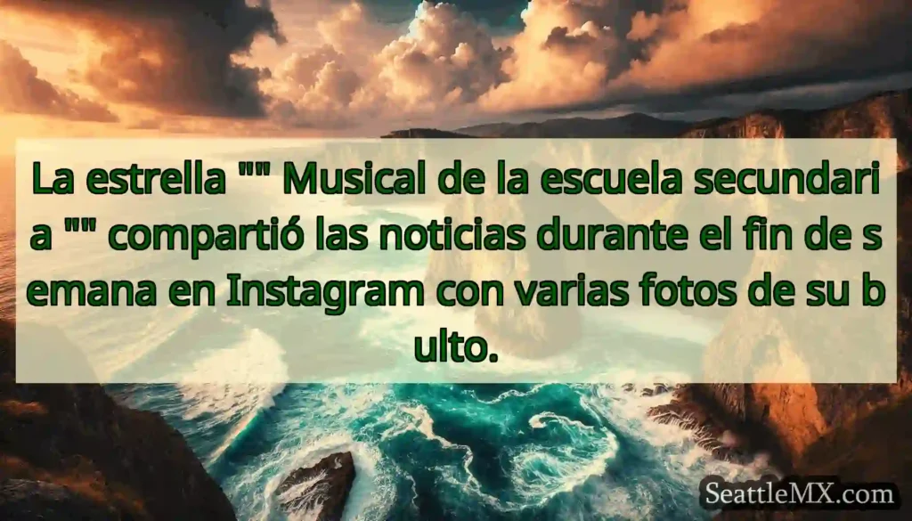 La estrella Musical de la escuela secundaria