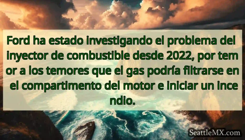 Ford ha estado investigando el problema del