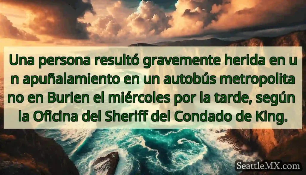 Una persona resultó gravemente herida en un