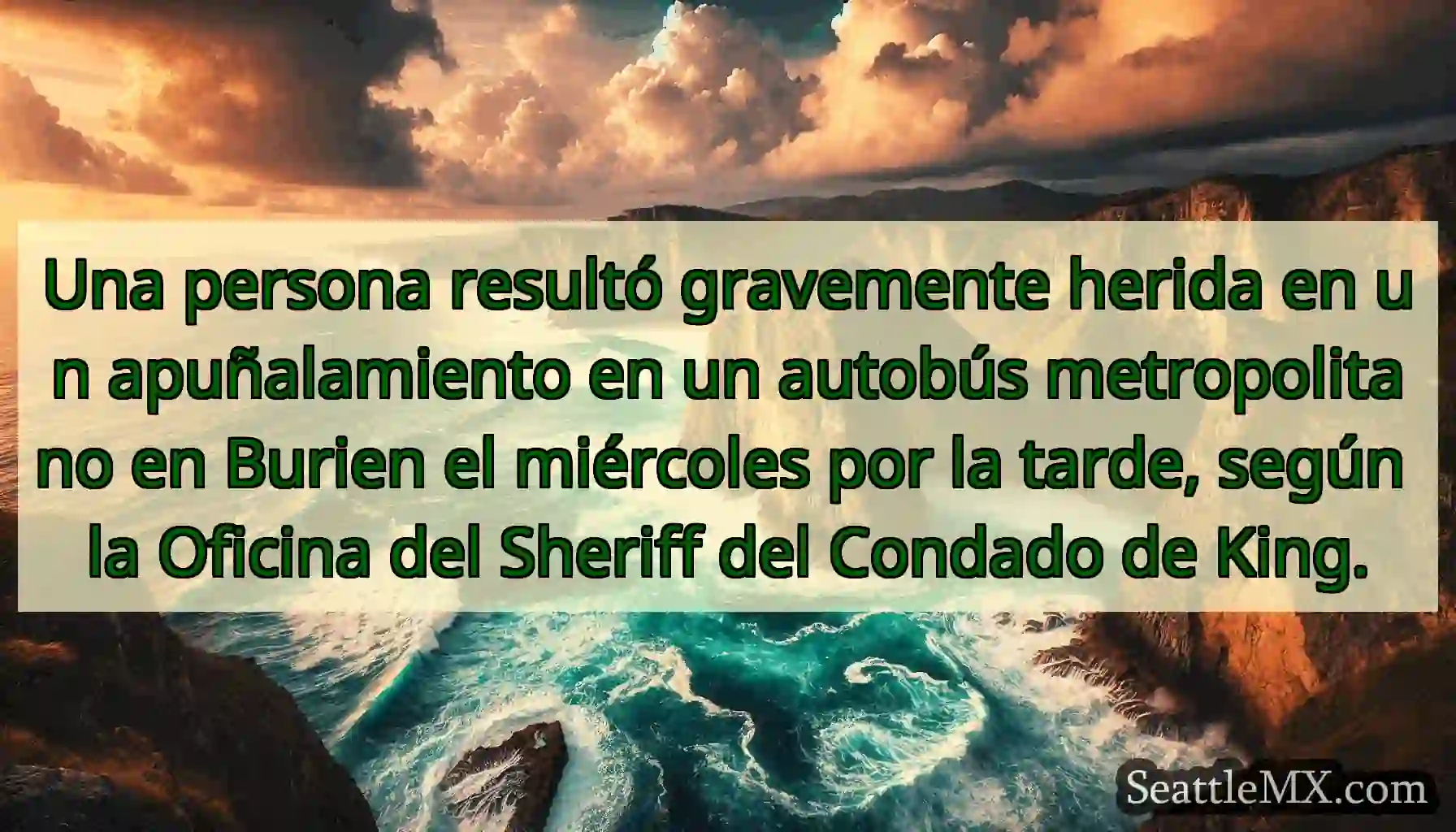 Una persona resultó gravemente herida en un