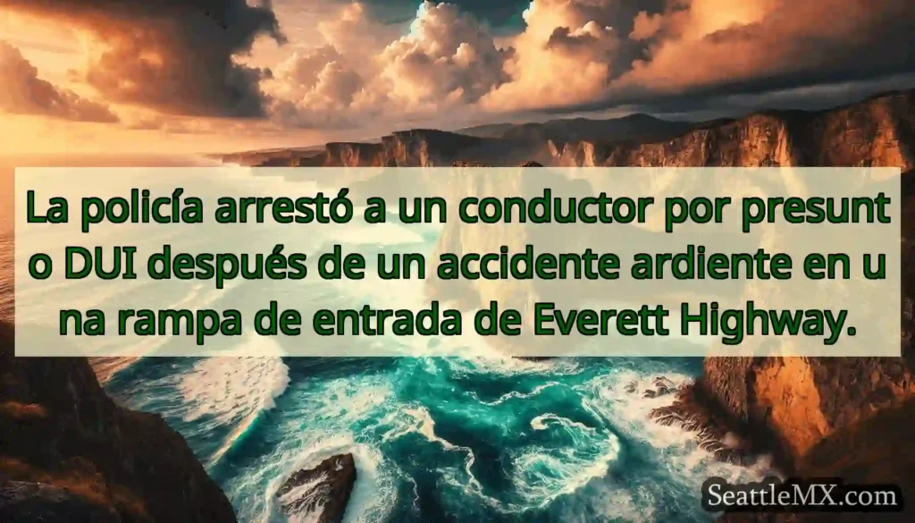 La policía arrestó a un conductor por presunto