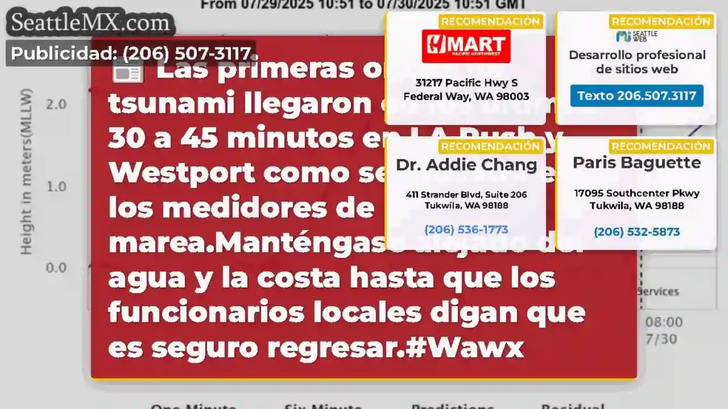 Las primeras ondas de tsunami llegaron en los
