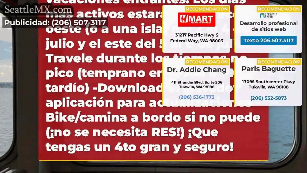 Consejos de viaje de vacaciones entrantes:
