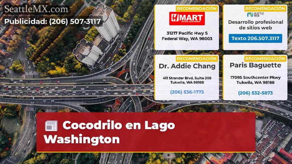 Cocodrilo en Lago Washington