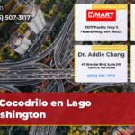 Cocodrilo en Lago Washington