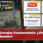 Conejos Frankenstein ¿Virus en Seattle?