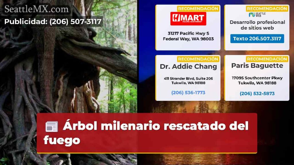 Árbol milenario rescatado del fuego