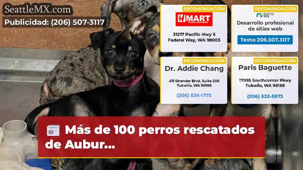 Más de 100 perros rescatados de Aubur...
