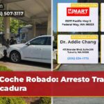 Coche Robado Arresto Tras Volcadura