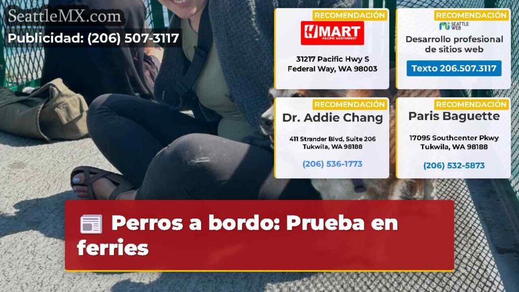 Perros a bordo: Prueba en ferries