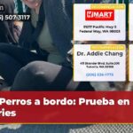 Perros a bordo Prueba en ferries