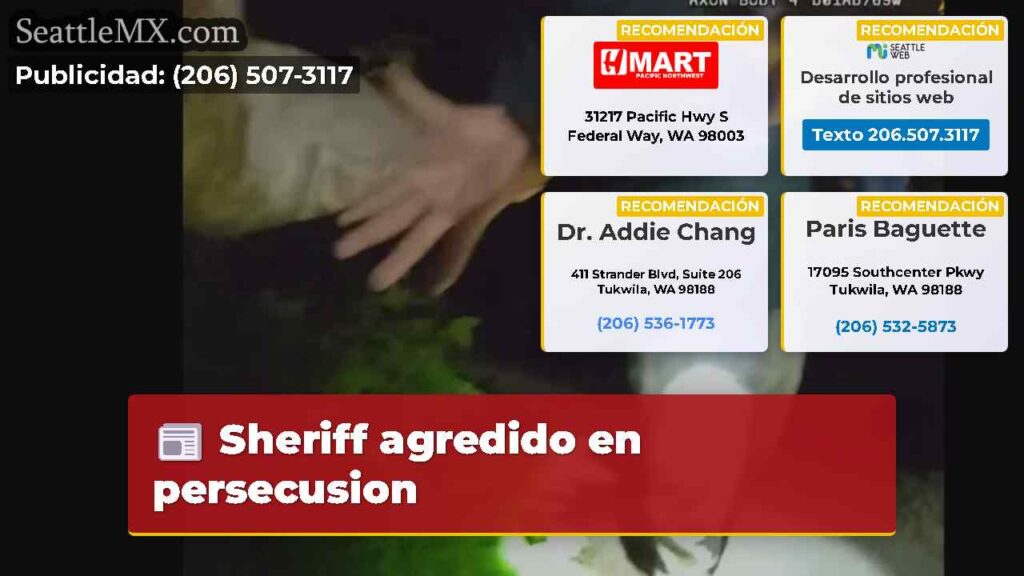 Sheriff agredido en persecusion