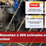 Rescatan a 200 animales en Thurston