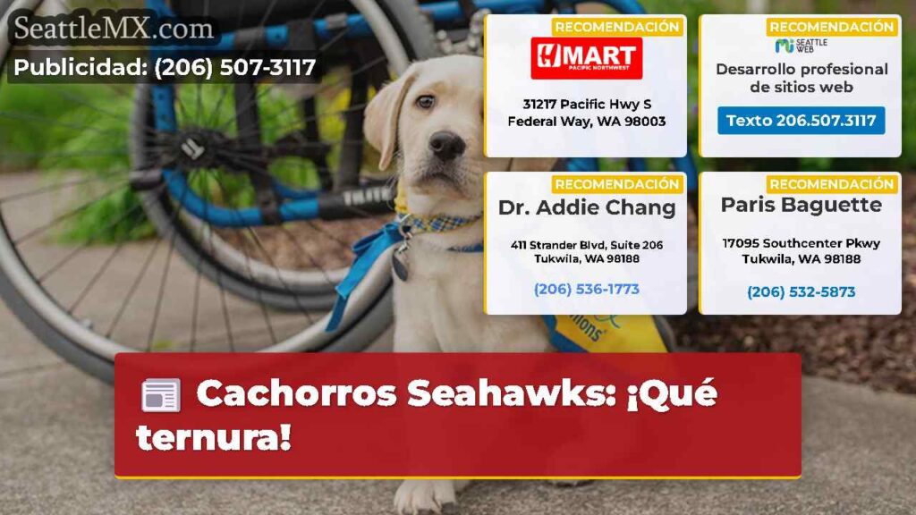 Cachorros Seahawks: ¡Qué ternura!