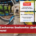 Cachorros Seahawks ¡Qué ternura!