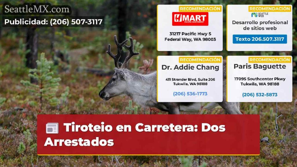 Tiroteio en Carretera: Dos Arrestados