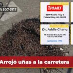 Arrojó uñas a la carretera