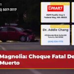 Magnolia Choque Fatal Deja un Muerto