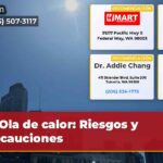 Ola de calor Riesgos y precauciones