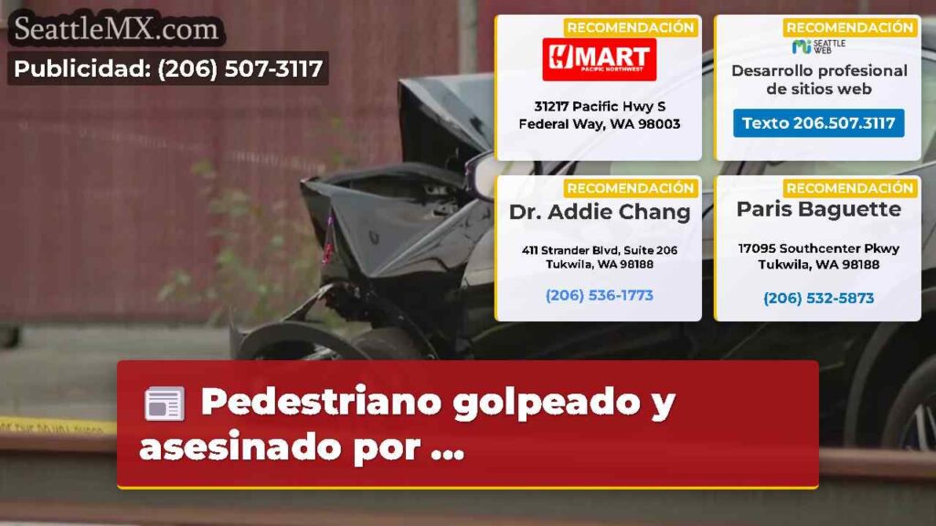 Pedestriano golpeado y asesinado por ...
