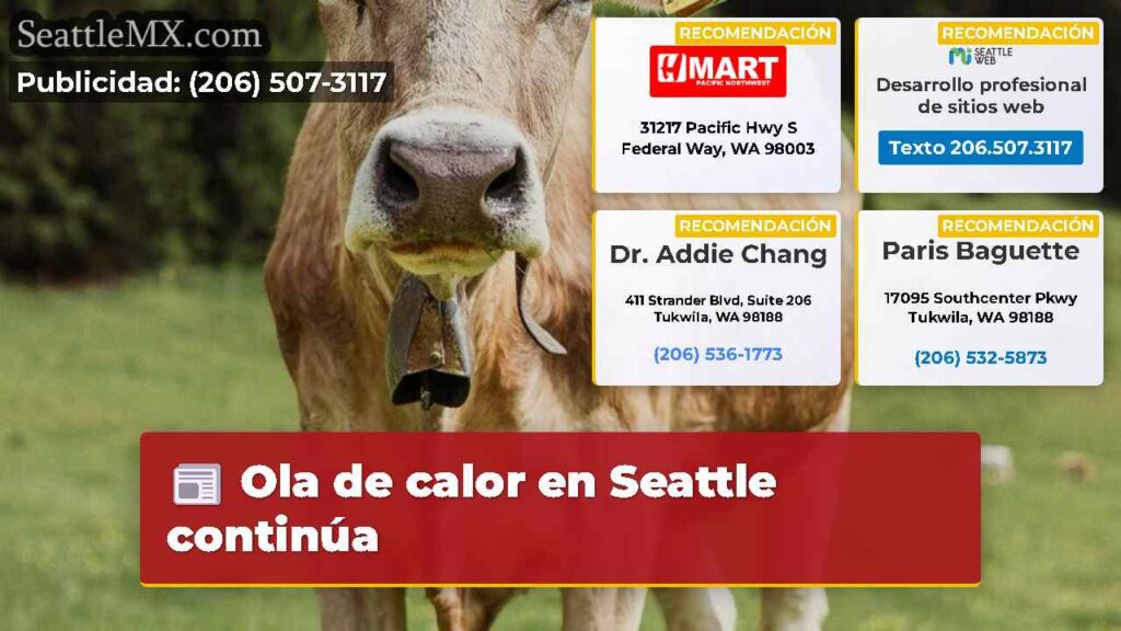 Ola de calor en Seattle continúa