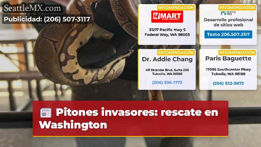 Pitones invasores: rescate en Washington