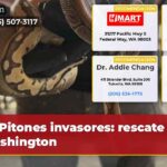 Pitones invasores rescate en Washington
