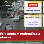 Whippets y embestida a bomberos