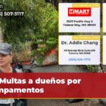 Multas a dueños por campamentos
