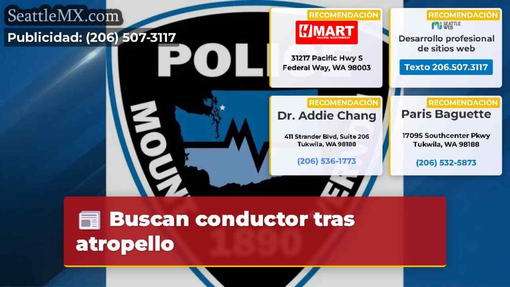 Buscan conductor tras atropello